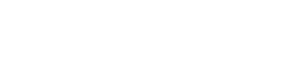 BAU SYSTEME-logo-h-white