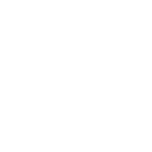 logo-MARY KAY