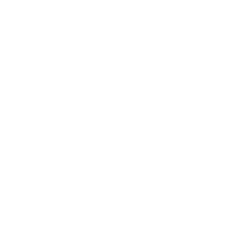 logo-Saloos