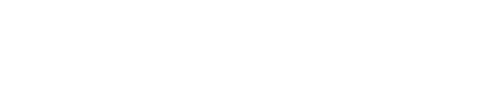 logo RICHTER white
